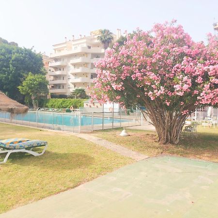 Estudio Luminoso En Puerto Marina ベナルマデナ エクステリア 写真
